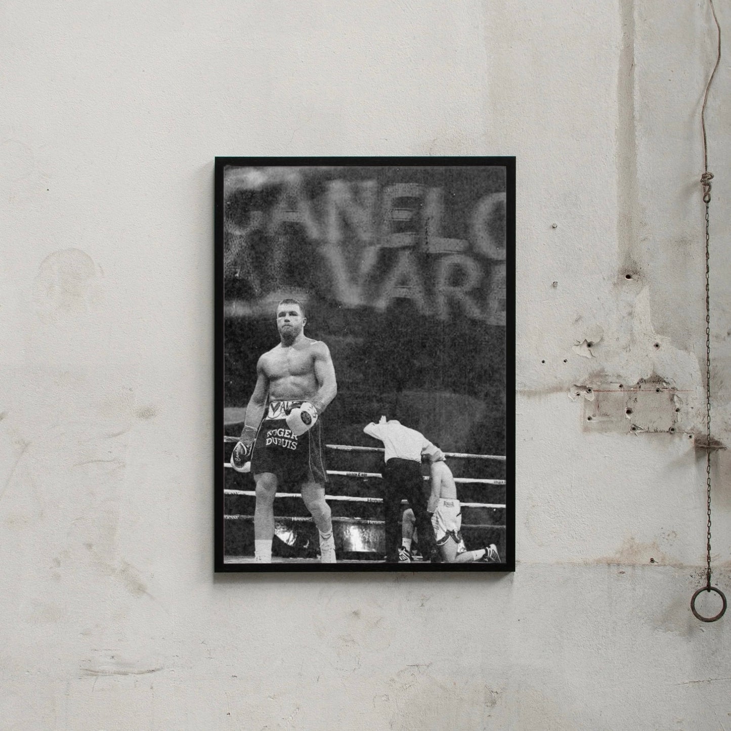 CANELO.