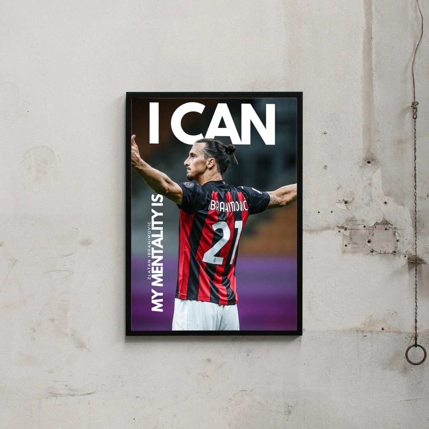 ZLATAN IBRAHIMOVIC.